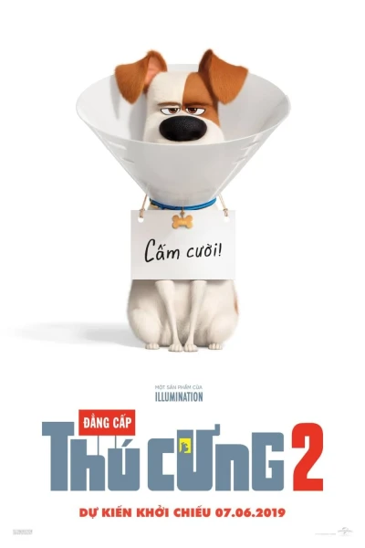 Đẳng Cấp Thú Cưng 2 - The Secret Life of Pets 2 (2019)